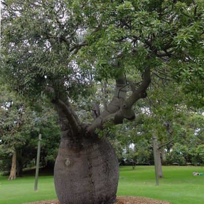 NIDO ASPRES GRASSE 2025