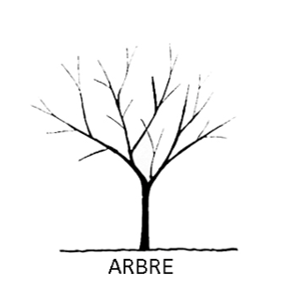 PEPINIERE DES ASPRES GRASSE 2025