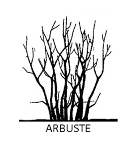 ASPRES GRASSE NURSERY 2024 ALPES MARITIMES GARDEN CENTER