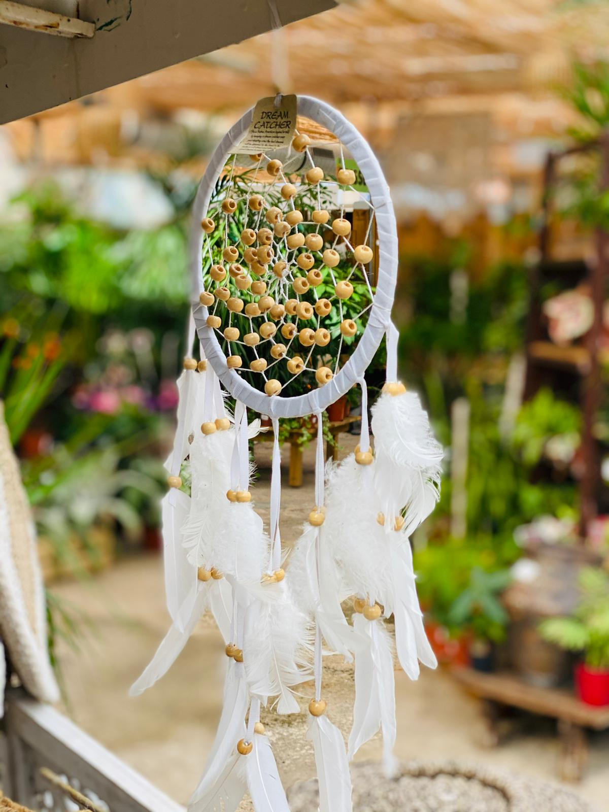 PEPINIERE DES ASPRES GRASSE 2024 ALPES MARITIMES JARDINERIE