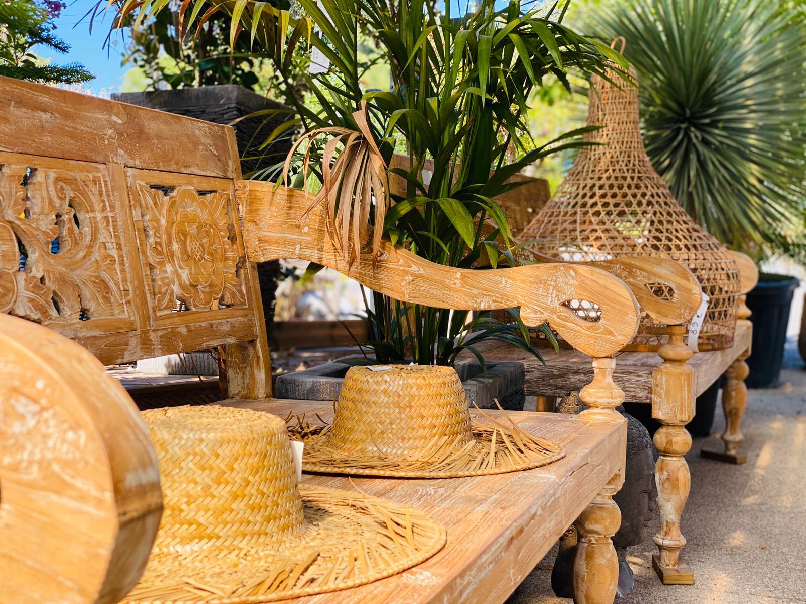 PEPINIERE DES ASPRES GRASSE 2024 ALPES MARITIMES JARDINERIE