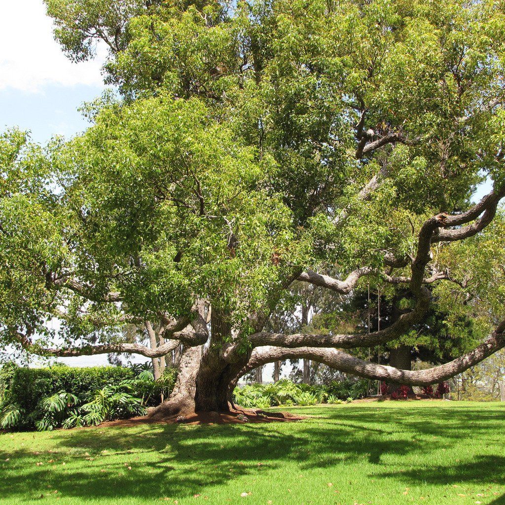 PEPINIERE DES ASPRES GRASSE 2024 ALPES MARITIMES JARDINERIE
