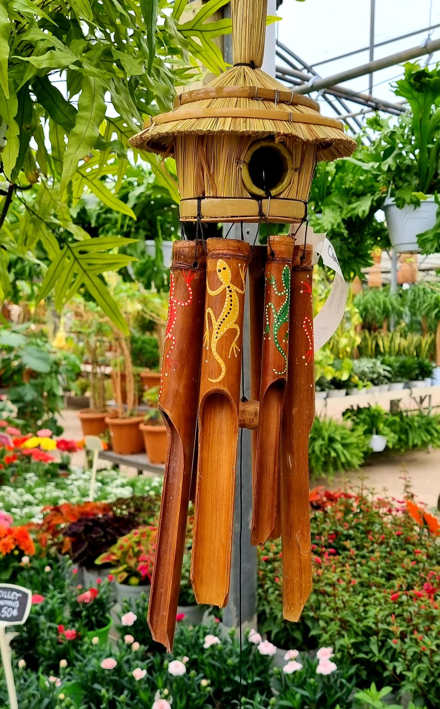 pepiniere jardinerie alpes maritimes 2025 2024 pepinière des aspres jardiner grasse