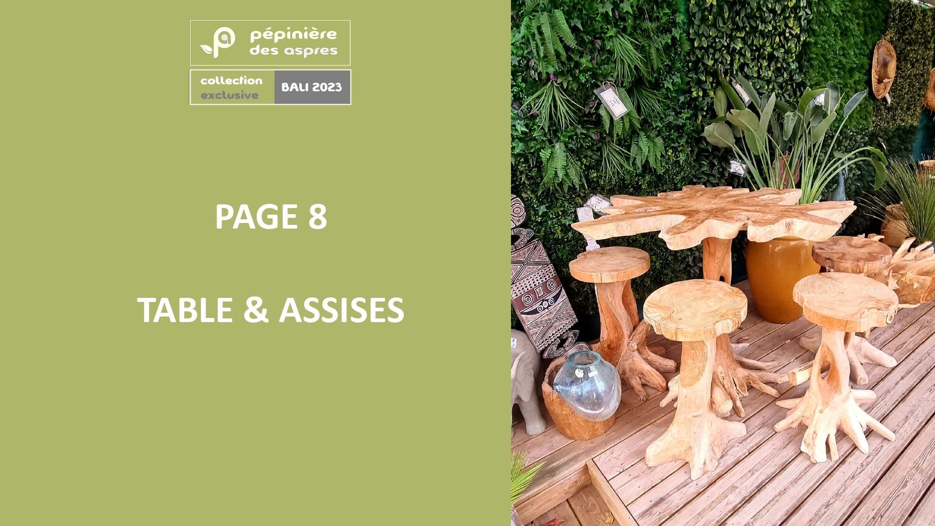 PEPINIERE DES ASPRES GRASSE 2024 ALPES MARITIMES JARDINERIE