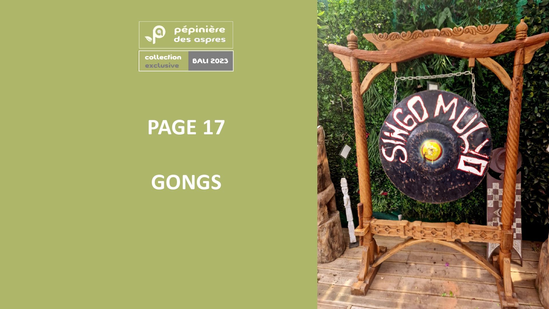 PEPINIPEPINIERE DES ASPRES GRASSE 2024 ALPES MARITIMES JARDINERIEERE DES ASPRES GRASSE 2024 ALPES MARITIMES JARDINERIE