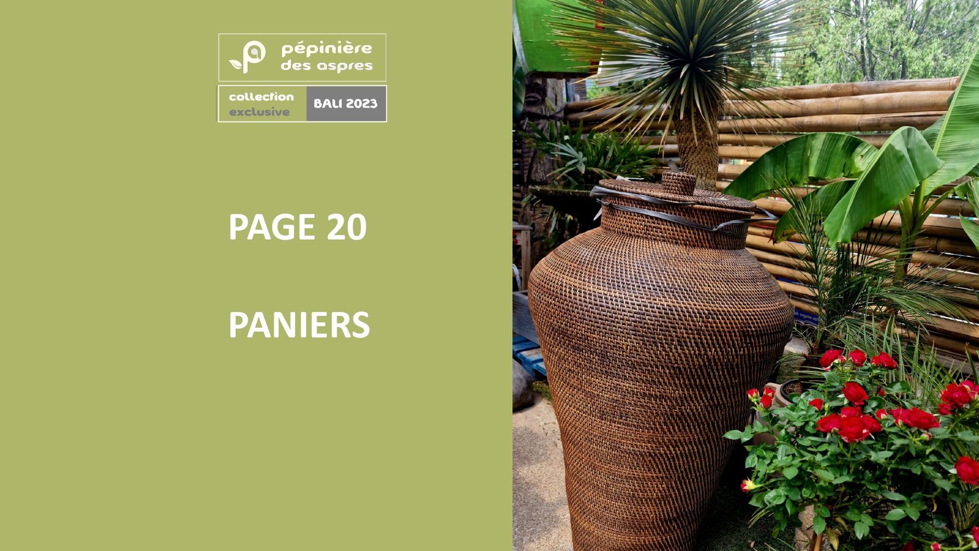 PEPINIERE DES ASPRES GRASSE 2024 ALPES MARITIMES JARDINERIE