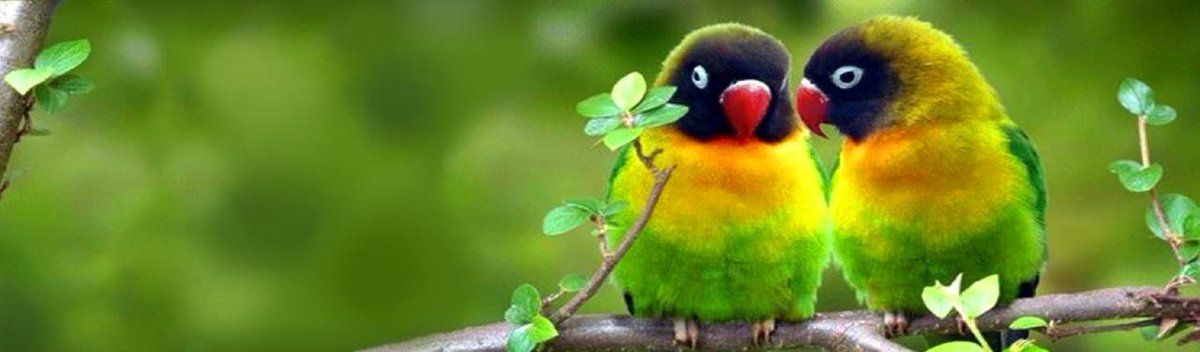 PEPINIERE DES ASPRES GRASSE 2024 ALPES MARITIMES JARDINERIE