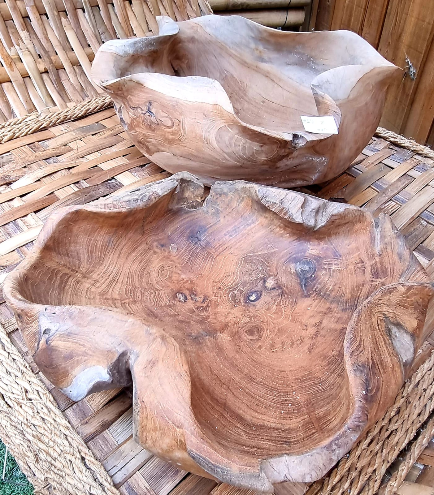 pepiniere jardinerie alpes maritimes 2025 2024 pepinière des aspres jardiner grasse