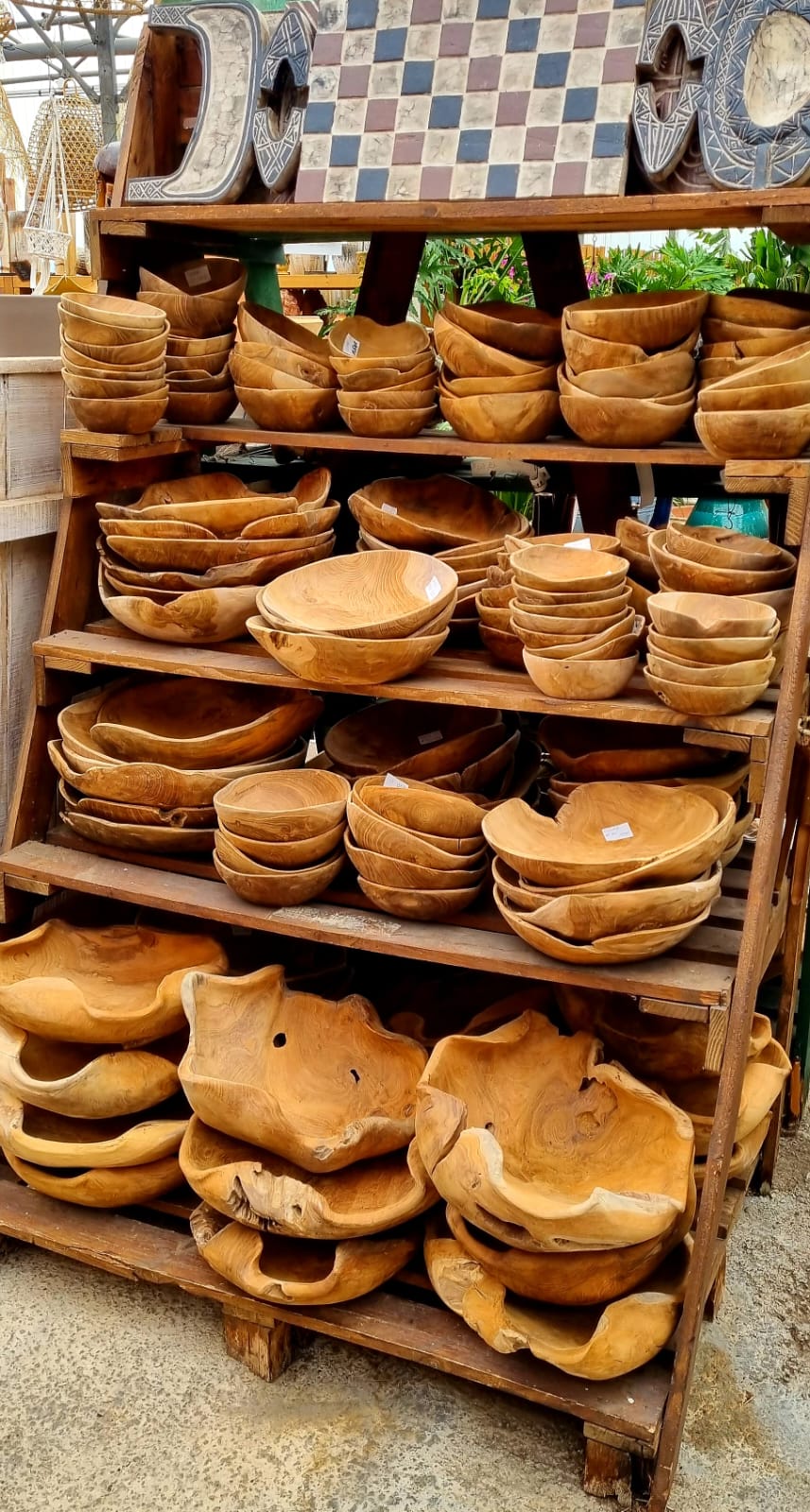 PEPINIERE DES ASPRES GRASSE 2024 ALPES MARITIMES JARDINERIE