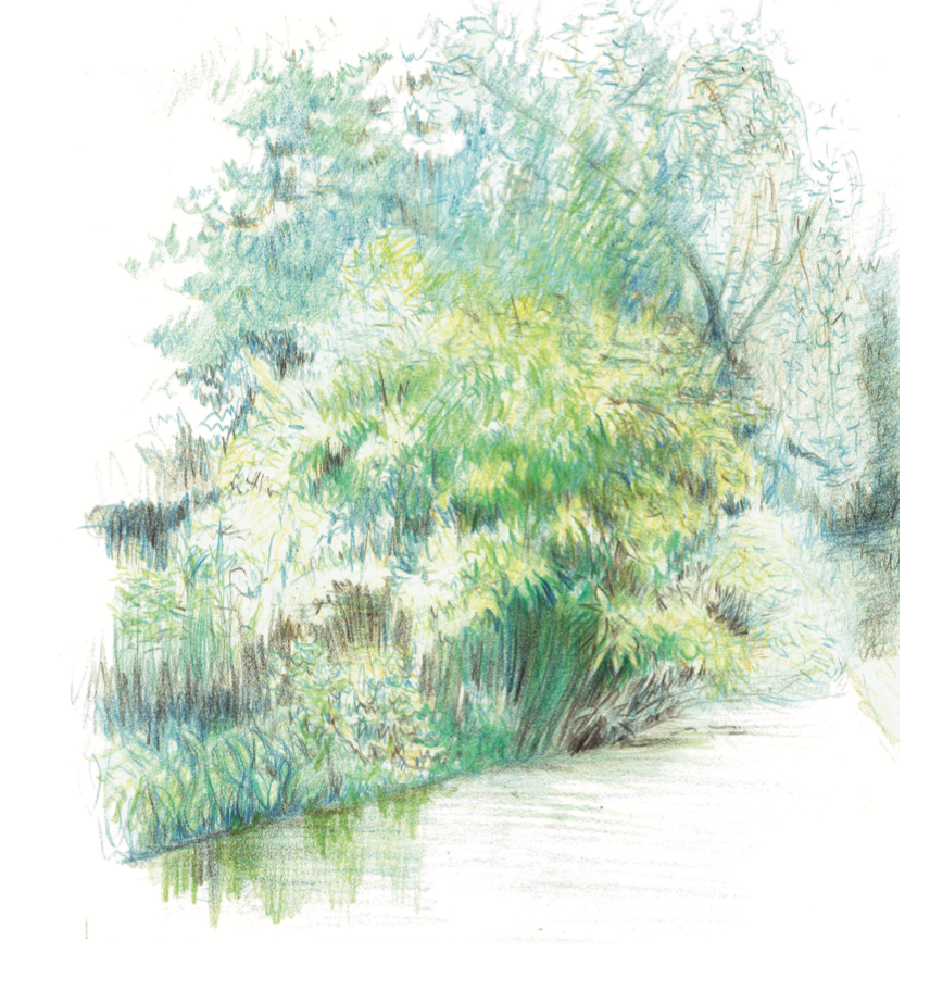 COACH CONCEPTION DE JARDIN PEPINIERE DES ASPRES GRASSE 2025