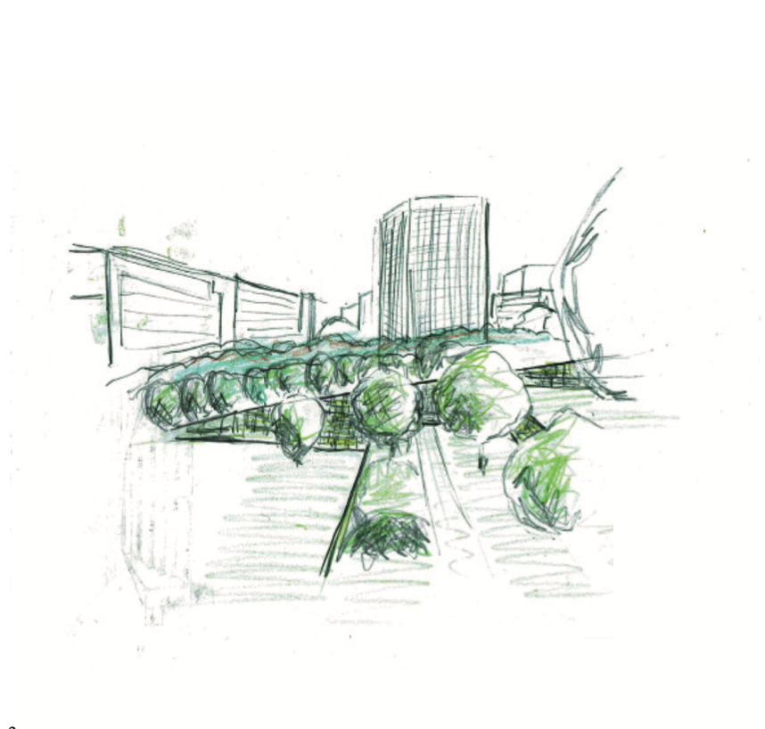 COACH CONCEPTION DE JARDIN PEPINIERE DES ASPRES GRASSE 2025