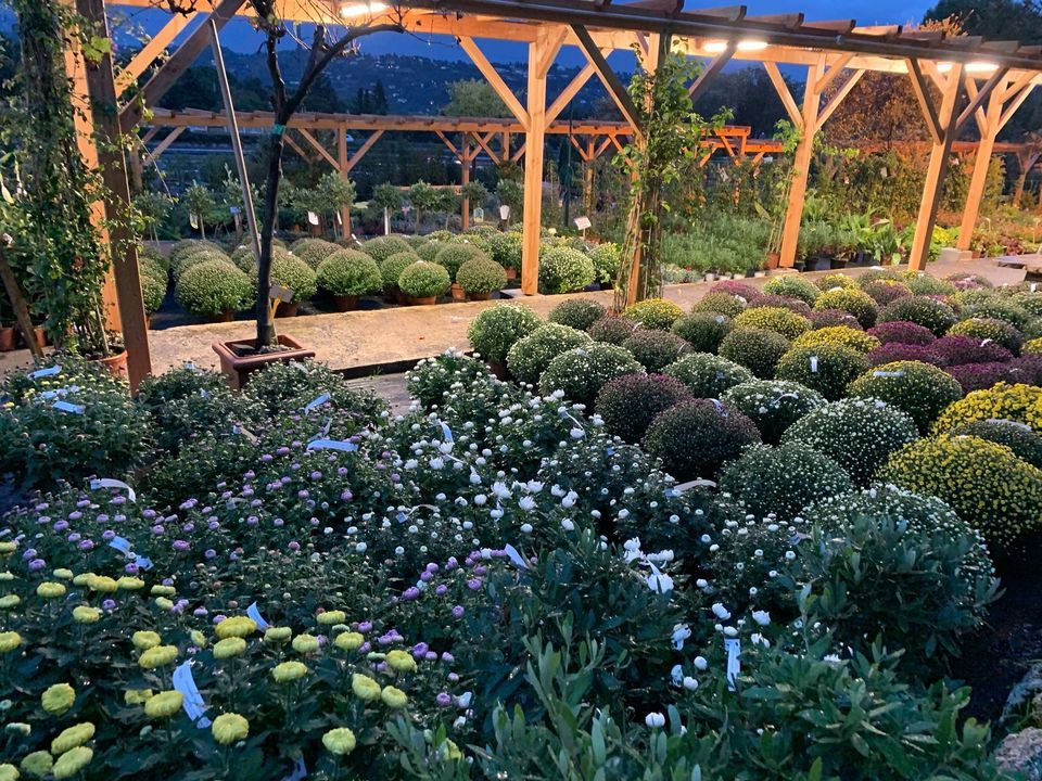 PEPINIERE DES ASPRES GRASSE 2024 ALPES MARITIMES JARDINERIE