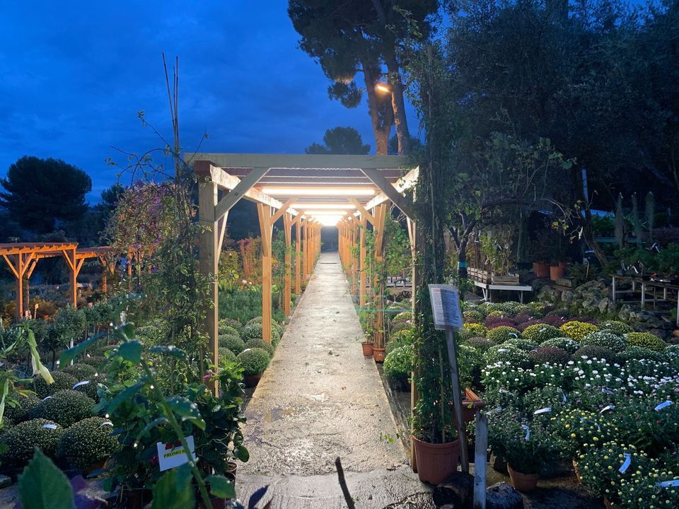 PEPINIERE DES ASPRES GRASSE 2024 ALPES MARITIMES JARDINERIE