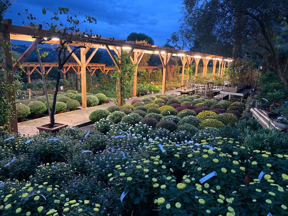 PEPINIERE DES ASPRES GRASSE 2024 ALPES MARITIMES JARDINERIE