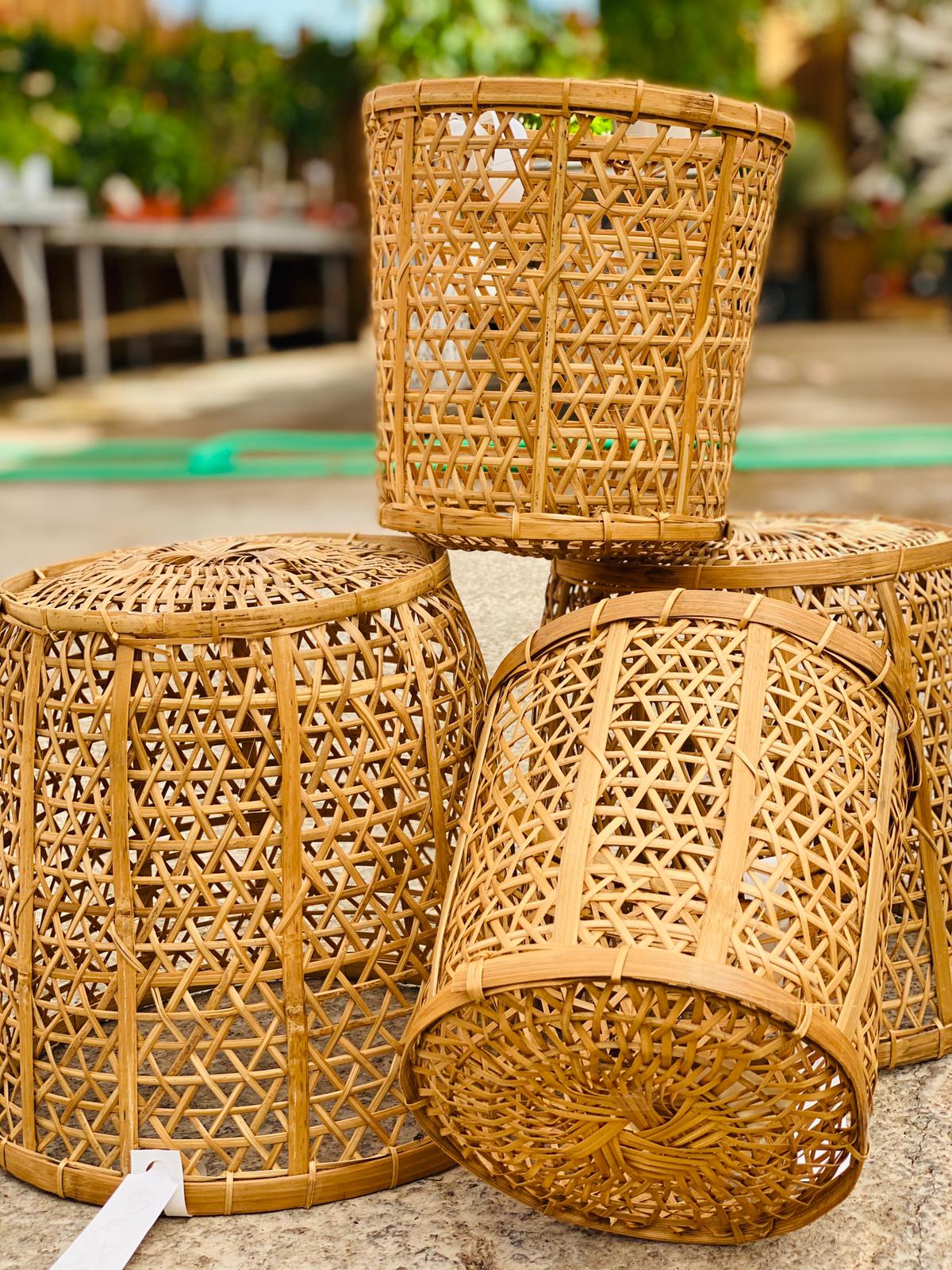 PEPINIERE DES ASPRES GRASSE 2024 ALPES MARITIMES JARDINERIE