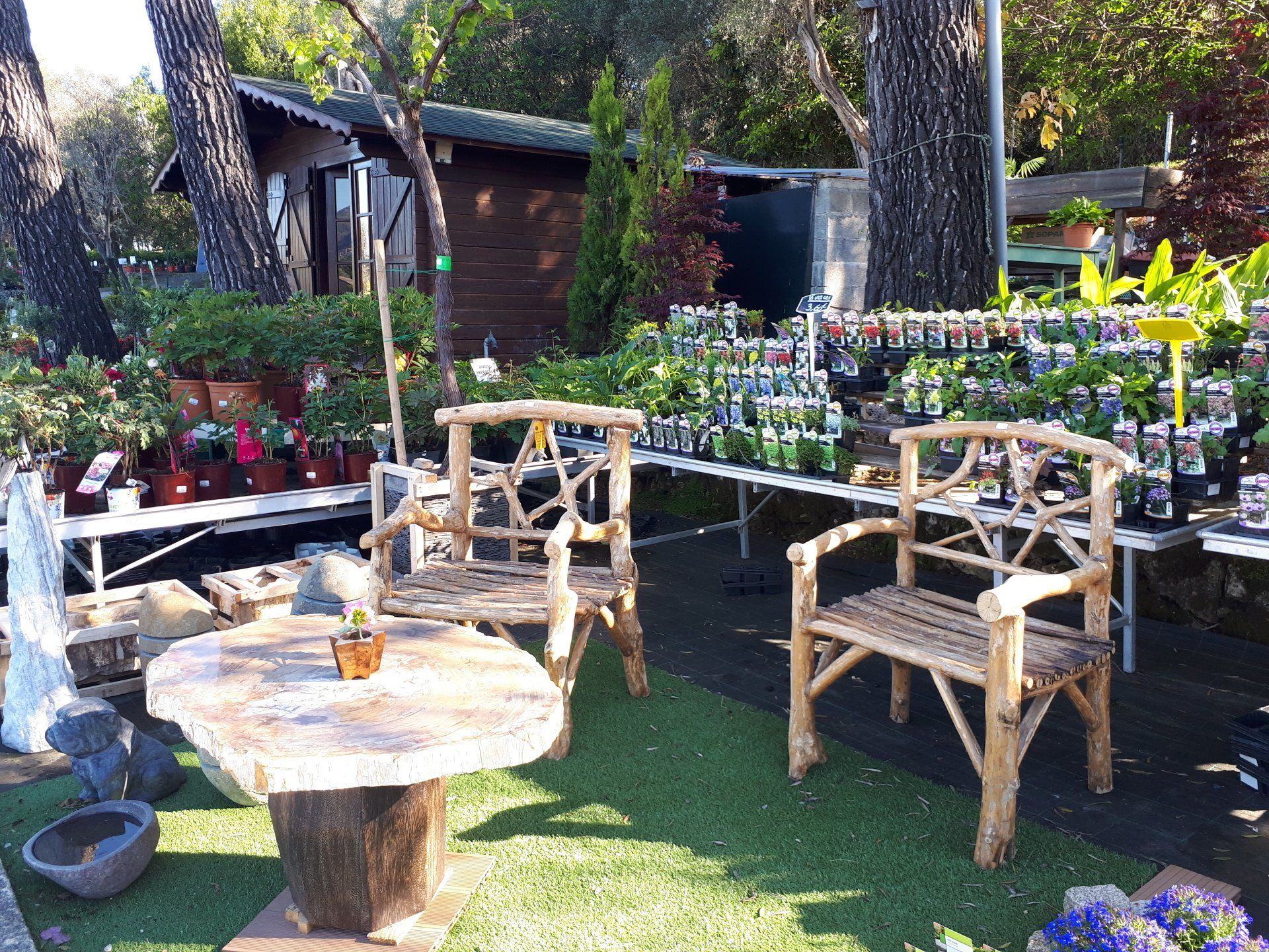 PEPINIERE DES ASPRES GRASSE 2024 ALPES MARITIMES JARDINERIE