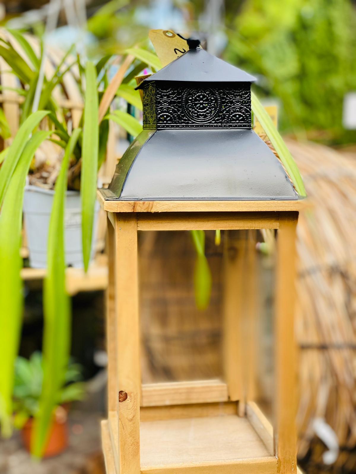 PEPINIERE DES ASPRES GRASSE 2024 ALPES MARITIMES JARDINERIE