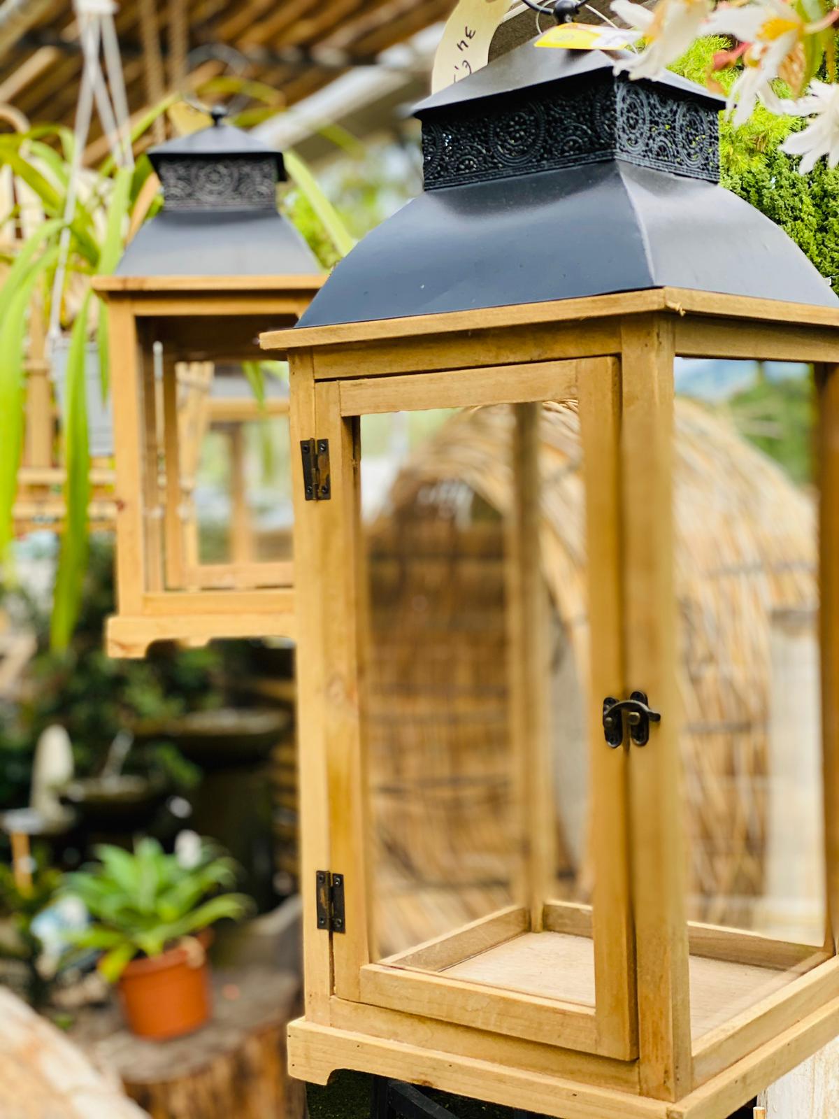 PEPINIERE DES ASPRES GRASSE 2024 ALPES MARITIMES JARDINERIE