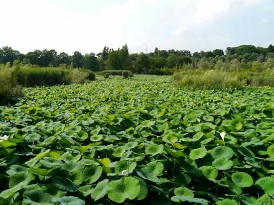 PEPINIERE DES ASPRES GRASSE 2024 ALPES MARITIMES JARDINERIE