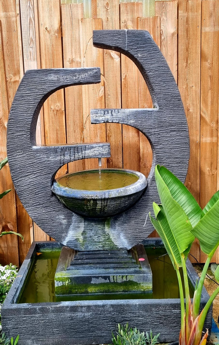 pepiniere jardinerie alpes maritimes 2025 2024 pepinière des aspres jardiner grasse