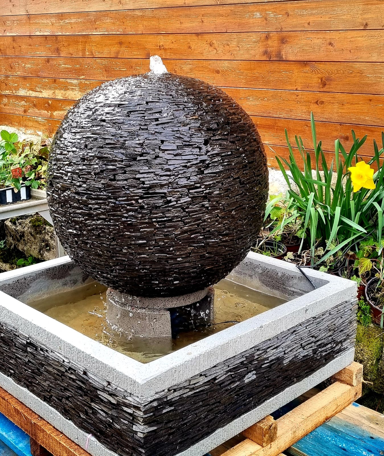 PEPINIERE DES ASPRES GRASSE 2024 ALPES MARITIMES JARDINERIE