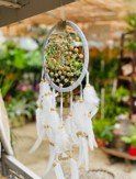 PEPINIERE DES ASPRES GRASSE 2024 ALPES MARITIMES JARDINERIEPEPINIERE DES ASPRES GRASSE 2024 ALPES MARITIMES JARDINERIE