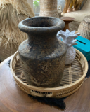 PEPINIERE DES ASPRES GRASSE 2024 ALPES MARITIMES JARDINERIE