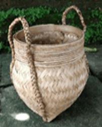 PEPINIERE DES ASPRES GRASSE 2024 ALPES MARITIMES JARDINERIE