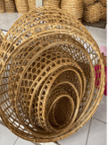 PEPINIERE DES ASPRES GRASSE 2024 ALPES MARITIMES JARDINERIE
