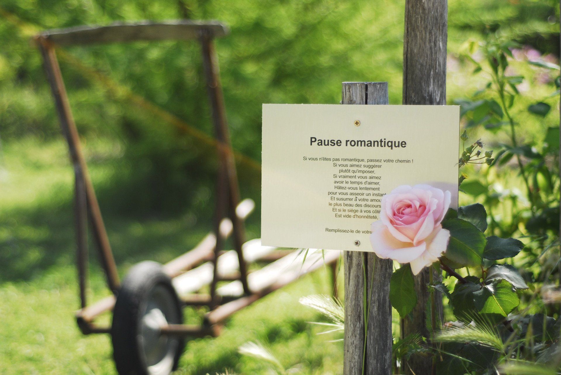 PEPINIERE DES ASPRES GRASSE 2024 ALPES MARITIMES JARDINERIE