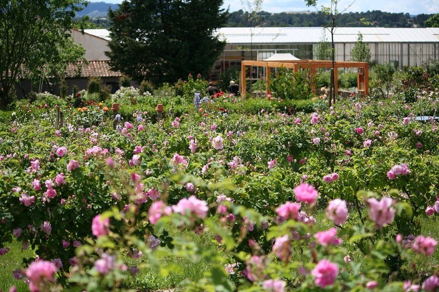 PEPINIERE DES ASPRES GRASSE 2024 ALPES MARITIMES JARDINERIE