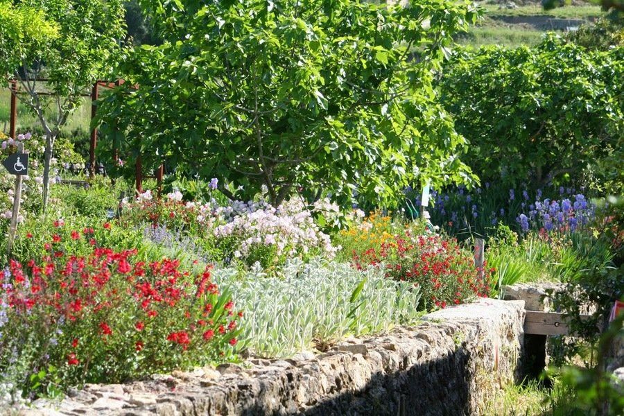 PEPINIERE DES ASPRES GRASSE 2024 ALPES MARITIMES JARDINERIE