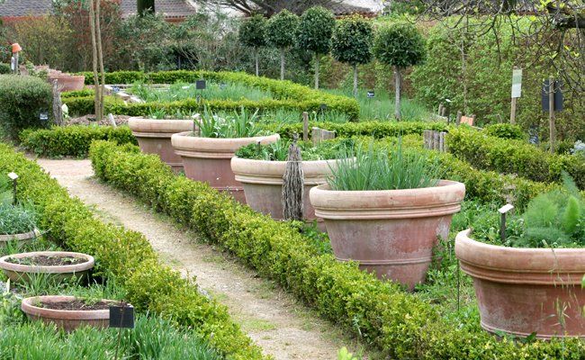 PEPINIERE DES ASPRES GRASSE 2024 ALPES MARITIMES JARDINERIE