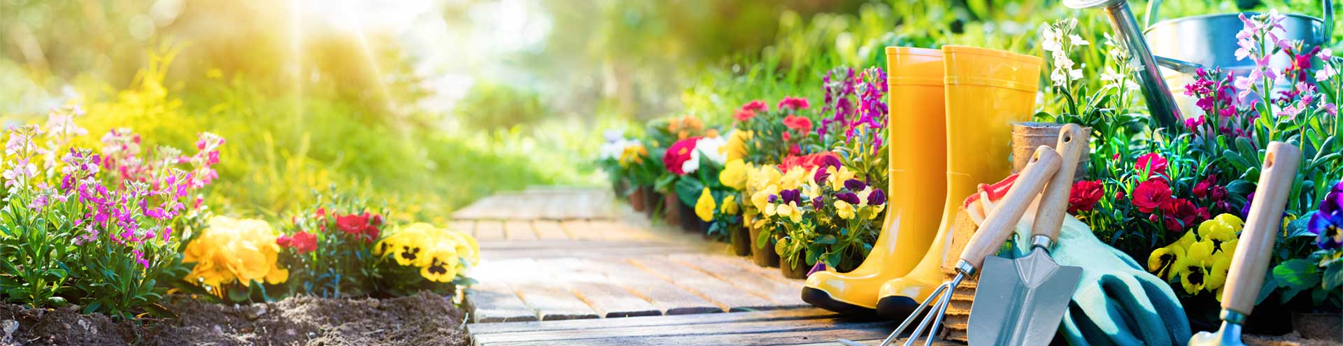 PEPINIERE DES ASPRES GRASSE 2024 ALPES MARITIMES JARDINERIE