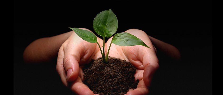 PEPINIERE DES ASPRES GRASSE 2024 ALPES MARITIMES JARDINERIE