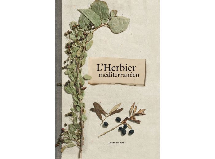 NURSERY DES ASPRES GRASSE 2024 ALPES MARITIMES GARDEN CARE