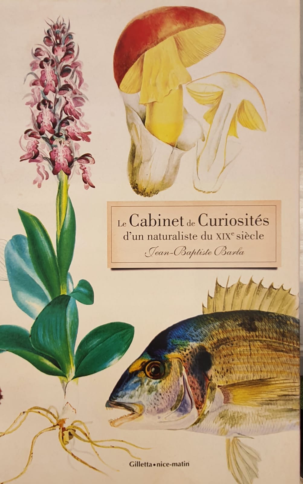 NURSERY DES ASPRES GRASSE 2024 ALPES MARITIMES GARDEN CARE