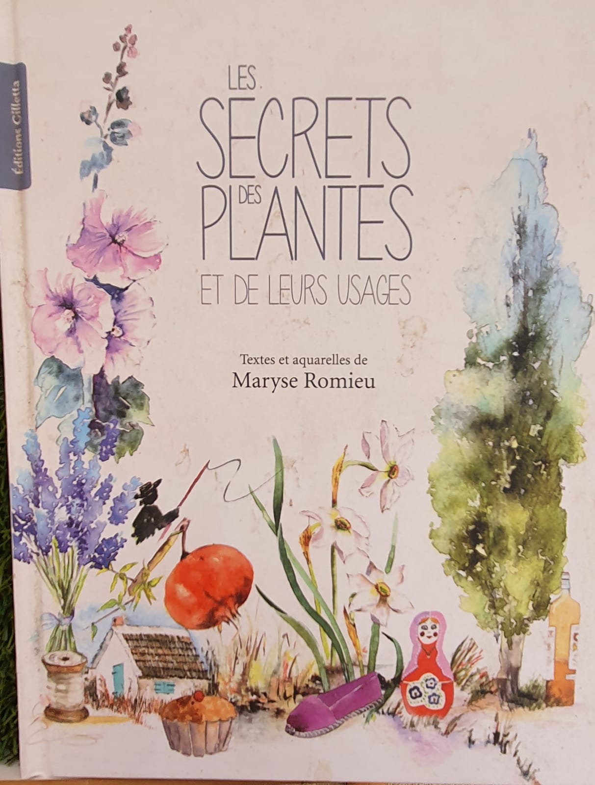 NURSERY DES ASPRES GRASSE 2024 ALPES MARITIMES GARDEN CARE