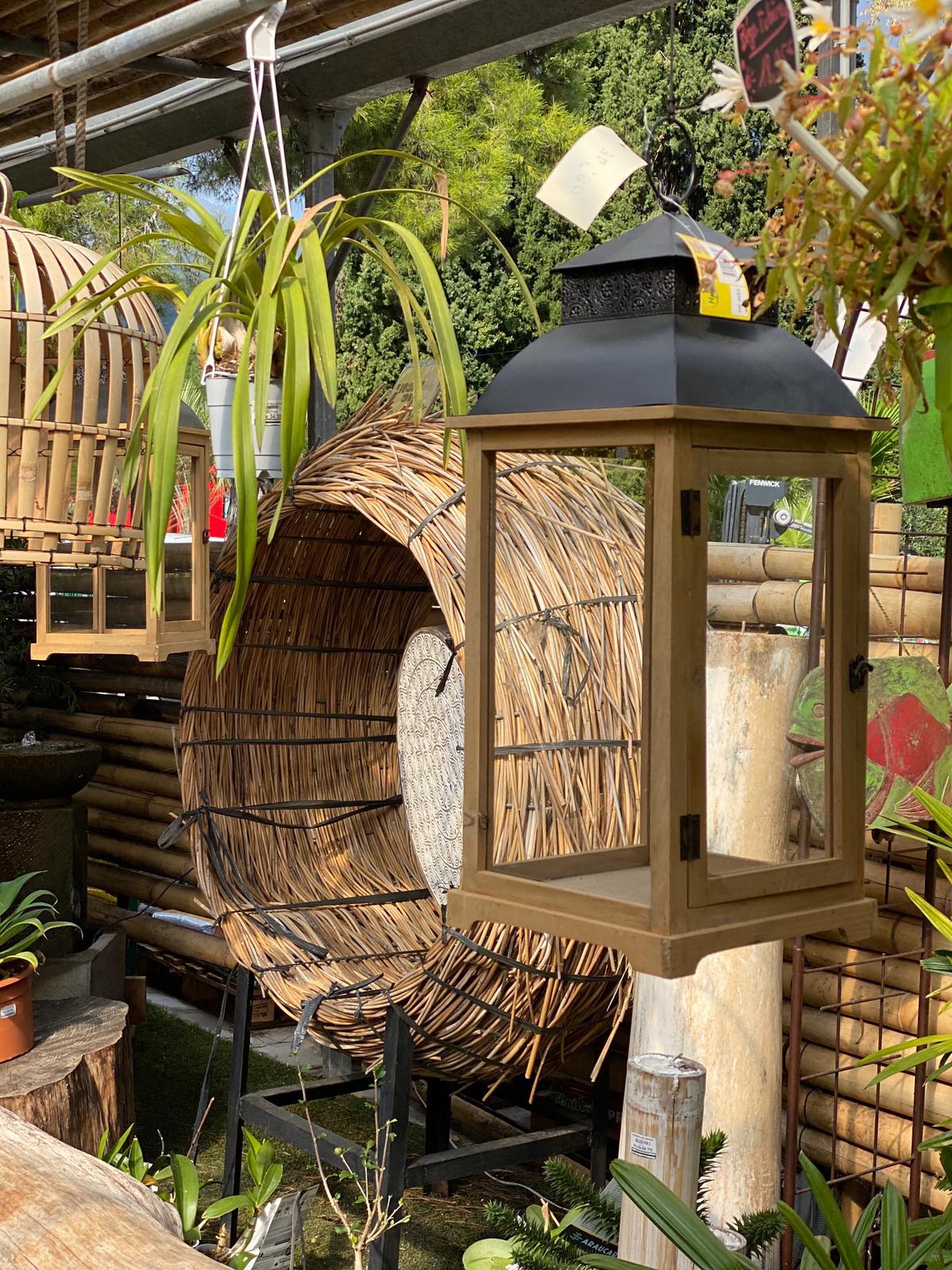 PEPINIERE DES ASPRES GRASSE 2024 ALPES MARITIMES JARDINERIE