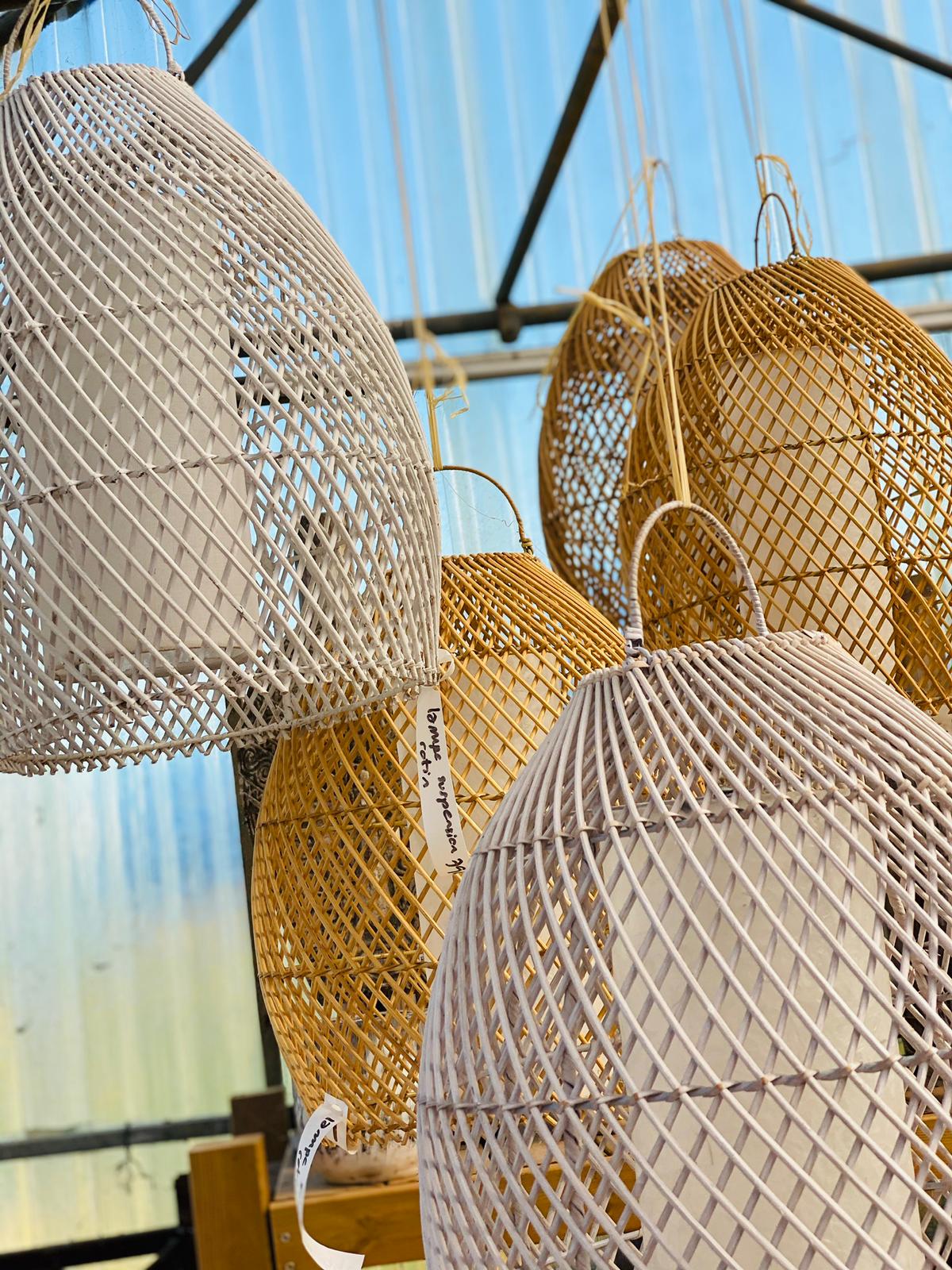 PEPINIERE DES ASPRES GRASSE 2024 ALPES MARITIMES JARDINERIE