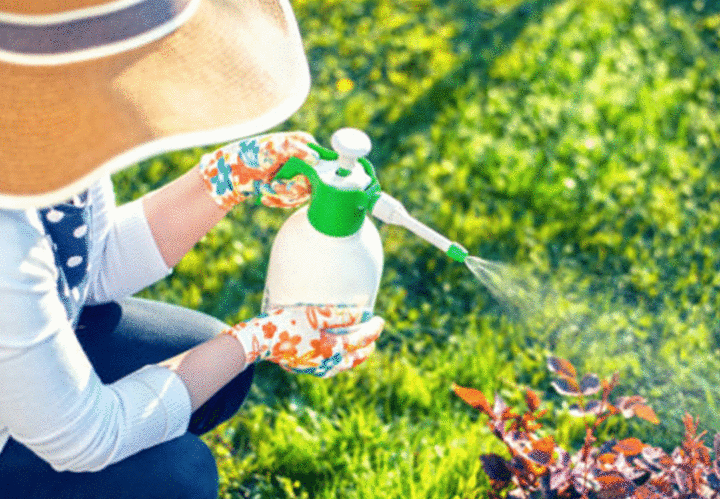 VIVAIO DES ASPRES GRASSE GARDEN CENTER ALPES MARITIMES 2024