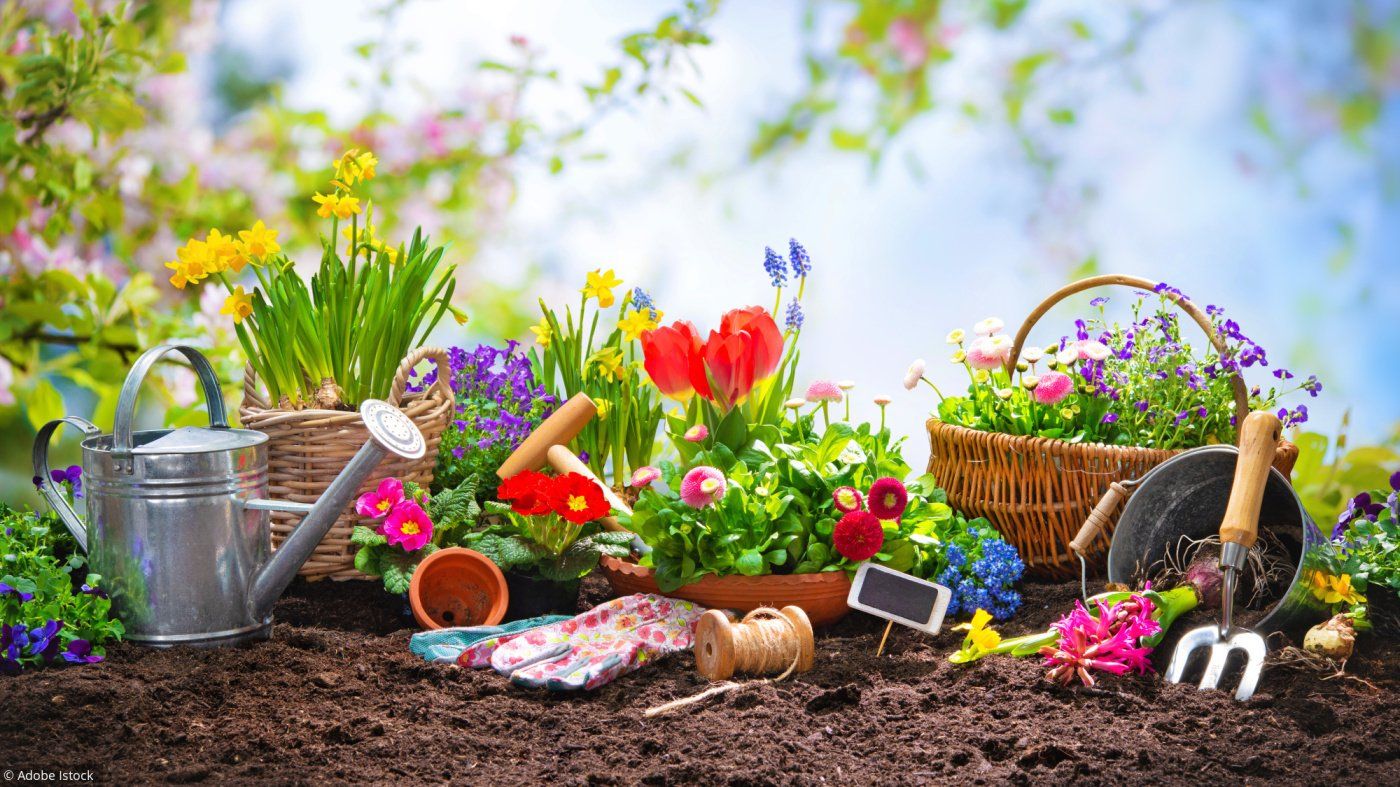 PEPINIERE DES ASPRES GRASSE 2024 ALPES MARITIMES JARDINERIE