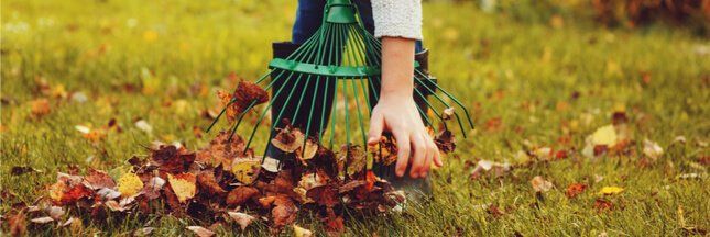 PEPINIERE DES ASPRES GRASSE 2024 ALPES MARITIMES JARDINERIE