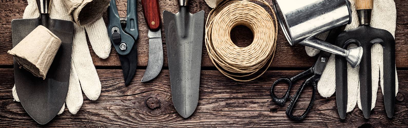 PEPINIERE DES ASPRES GRASSE 2024 ALPES MARITIMES JARDINERIE