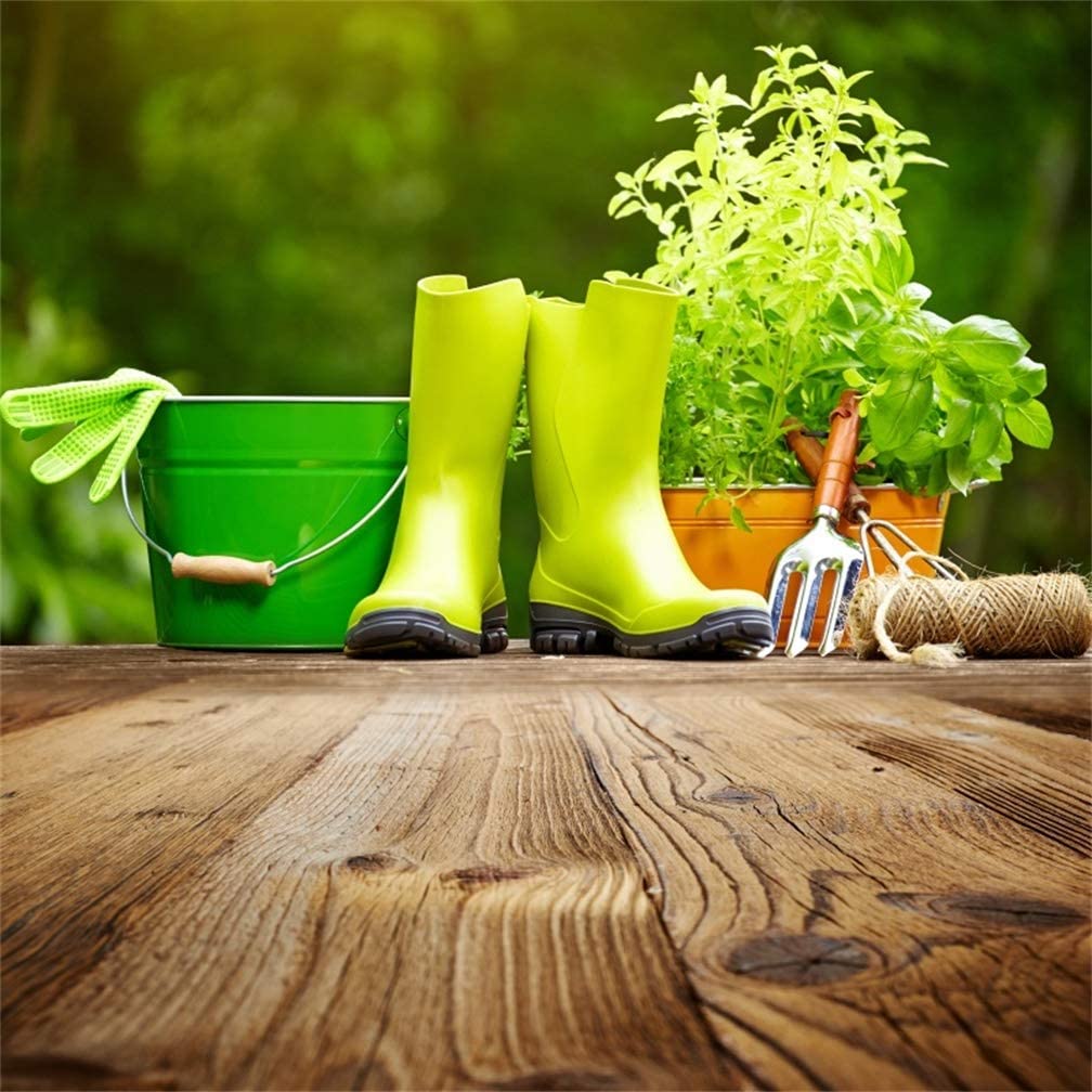 VIVAIO DES ASPRES GRASSE 2024 CURA DEL GIARDINO DELLE ALPI MARITTIME