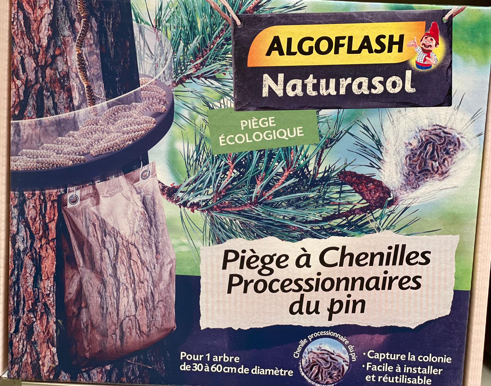 PEPINIERE DES ASPRES GRASSE 2024 ALPES MARITIMES JARDINERIE