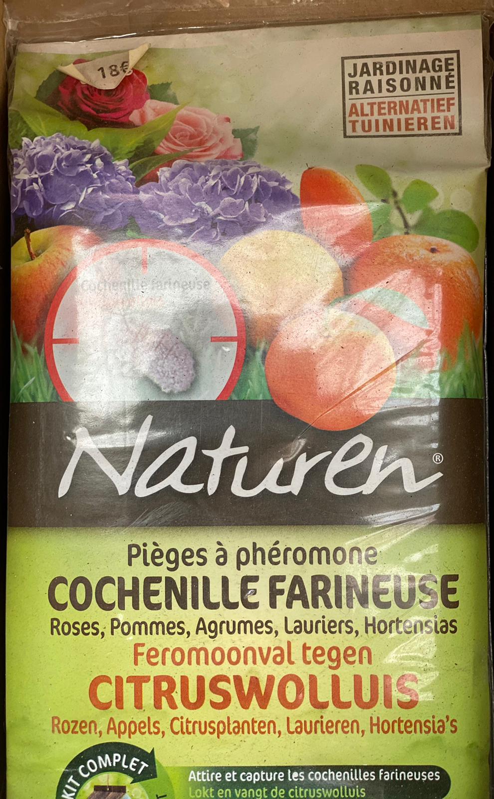 PEPINIERE DES ASPRES GRASSE 2024 ALPES MARITIMES JARDINERIE