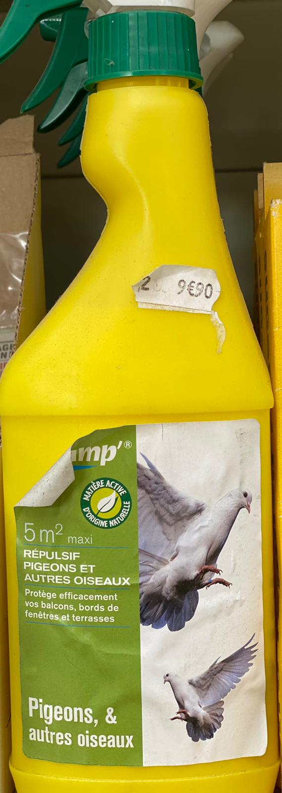 PEPINIERE DES ASPRES GRASSE 2024 ALPES MARITIMES JARDINERIE