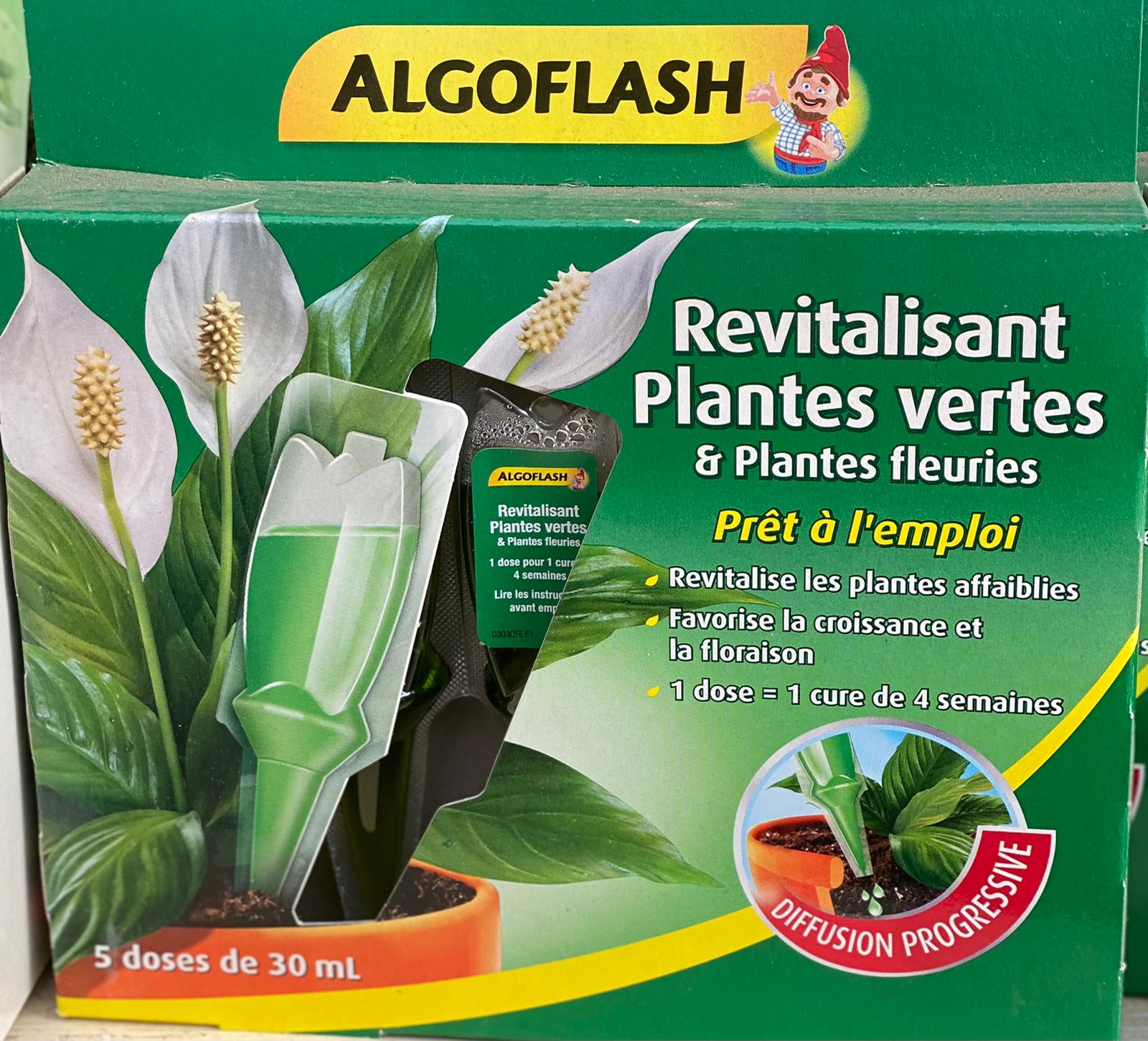 PEPINIERE DES ASPRES GRASSE 2024 ALPES MARITIMES JARDINERIE