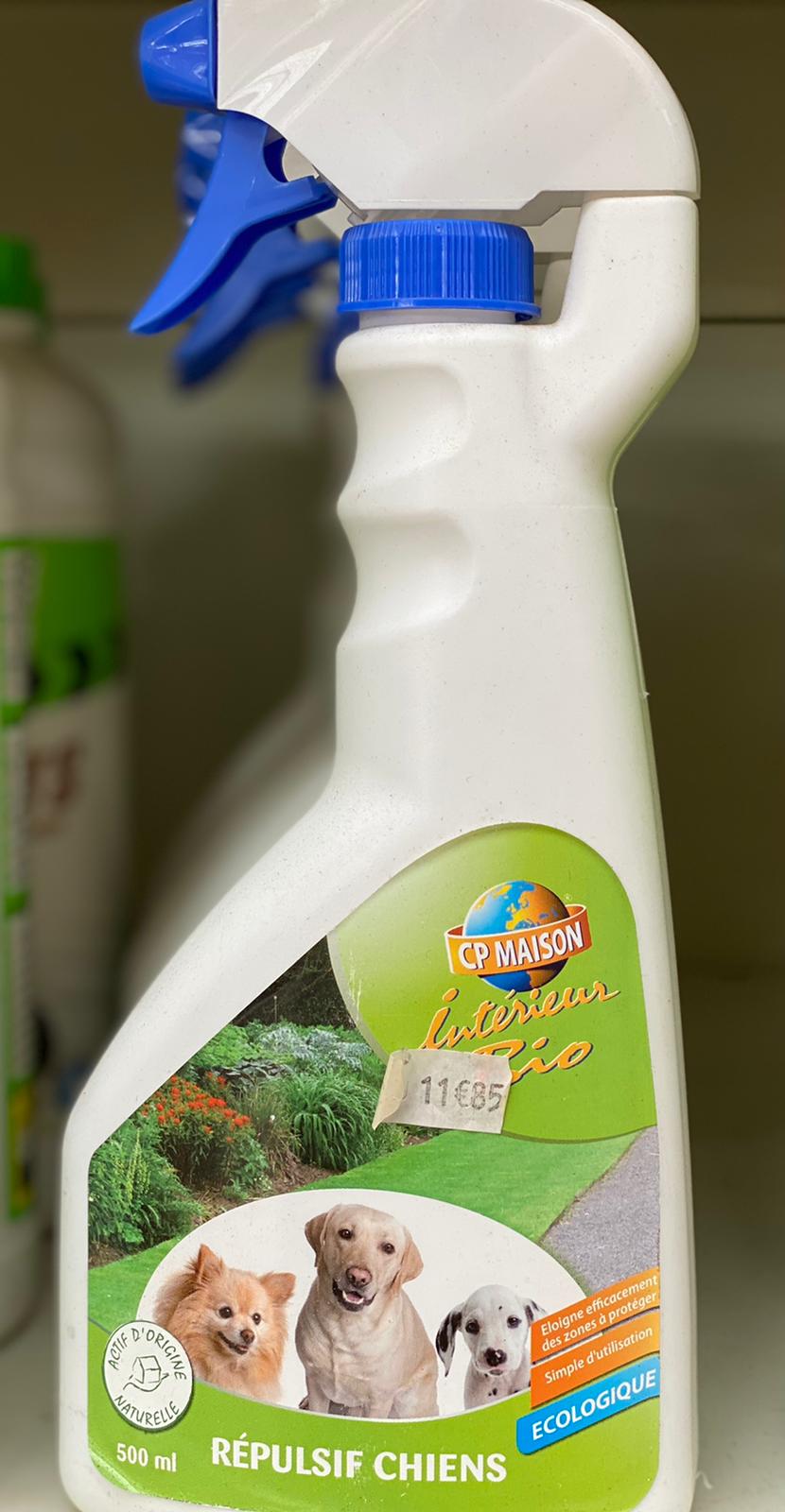 PEPINIERE DES ASPRES GRASSE 2024 ALPES MARITIMES JARDINERIE